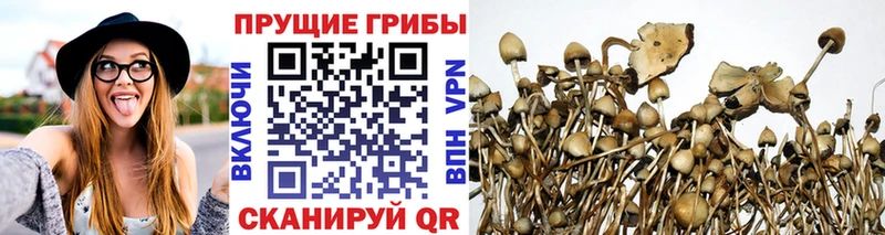 Галлюциногенные грибы MAGIC MUSHROOMS  OMG tor  Кадников 